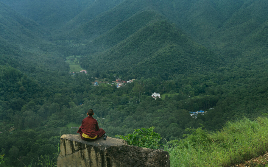 medytujący mnich na tle zielonych drzew